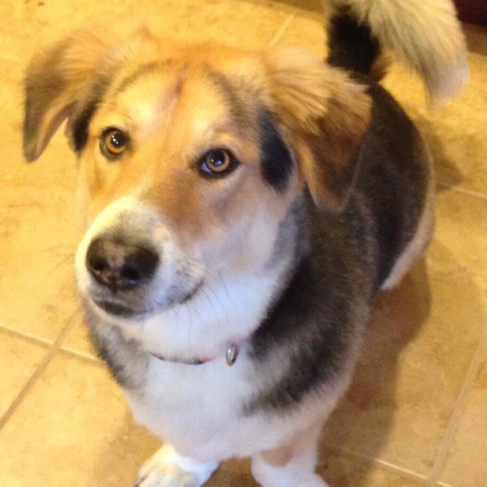 Meet your Posher, Carrie